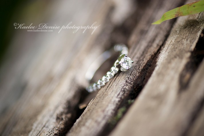 Brevard Engagement Photographer