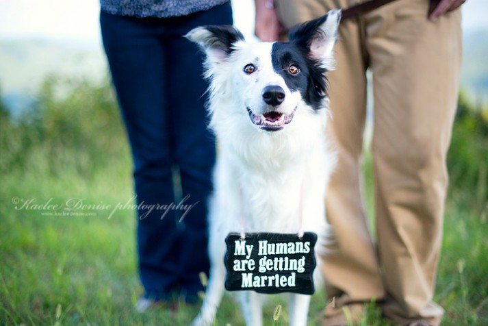 Brevard Engagement Photographer