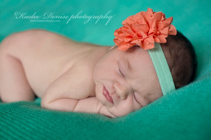 Brevard Newborn Portrait Photographer