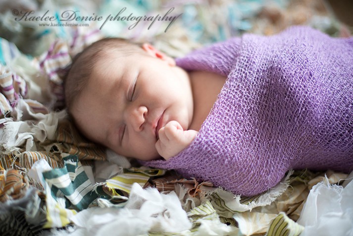 Brevard Newborn Portrait Photographer