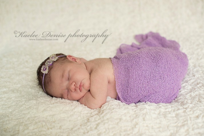 Brevard Newborn Portrait Photographer