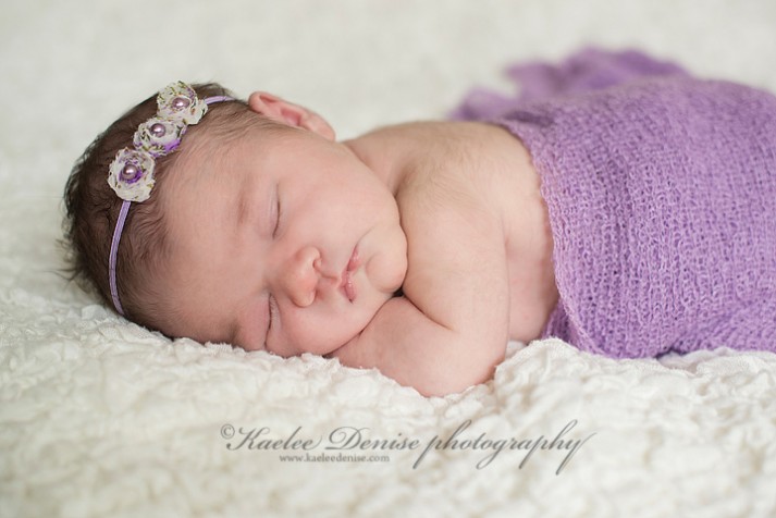 Brevard Newborn Portrait Photographer