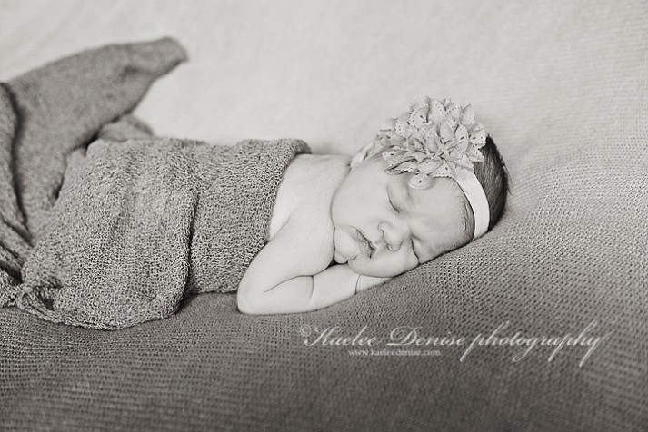 Brevard Newborn Portrait Photographer