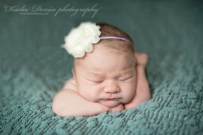 Brevard Newborn Portrait Photographer