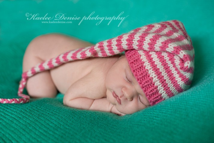 Brevard Newborn Portrait Photographer