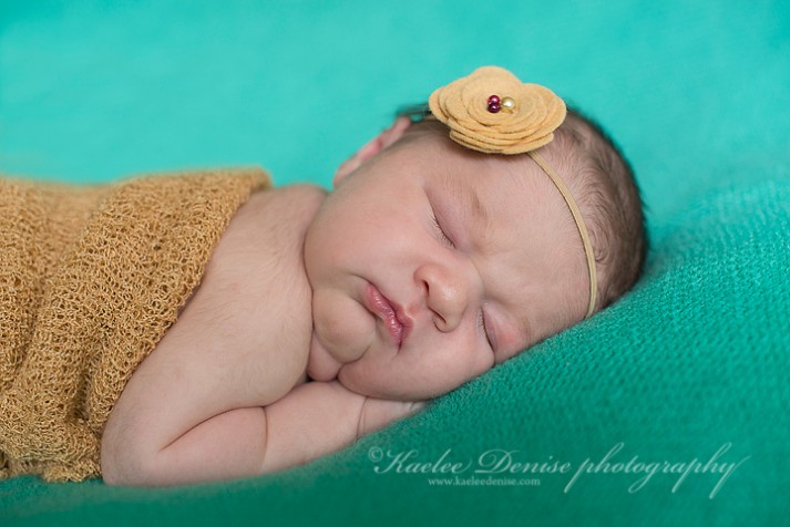 Brevard Newborn Portrait Photographer