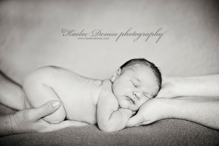 Brevard Newborn Portrait Photographer