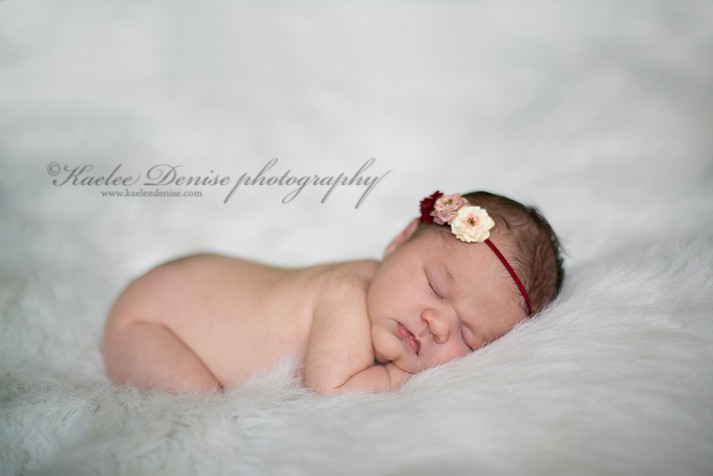 Brevard Newborn Portrait Photographer