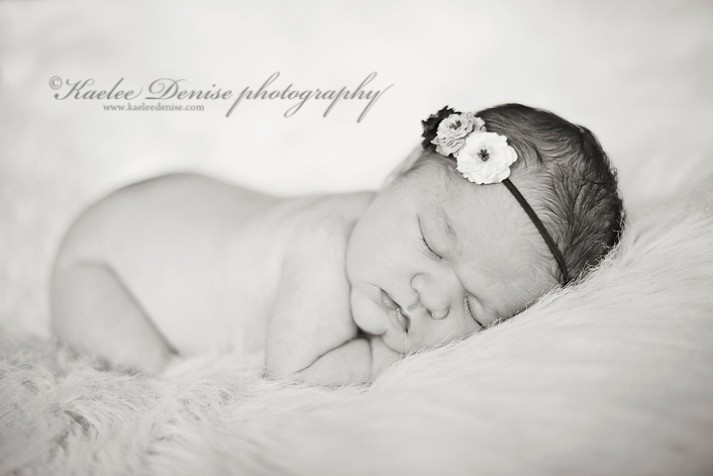 Brevard Newborn Portrait Photographer