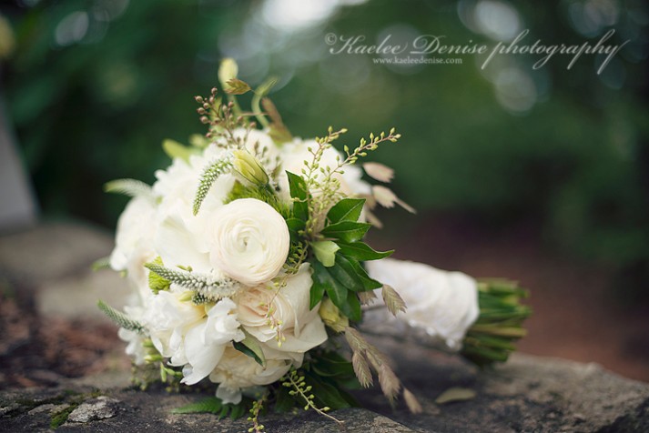 Brevard Wedding Photographer