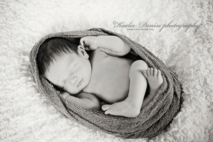 Brevard Newborn Portrait Photographer