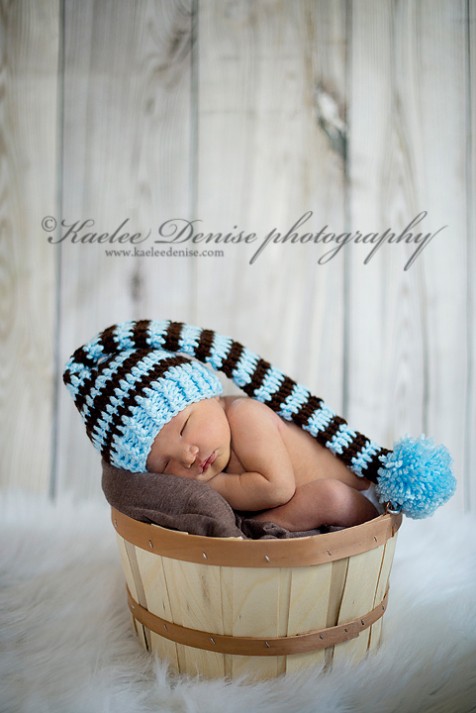 Brevard Newborn Portrait Photographer