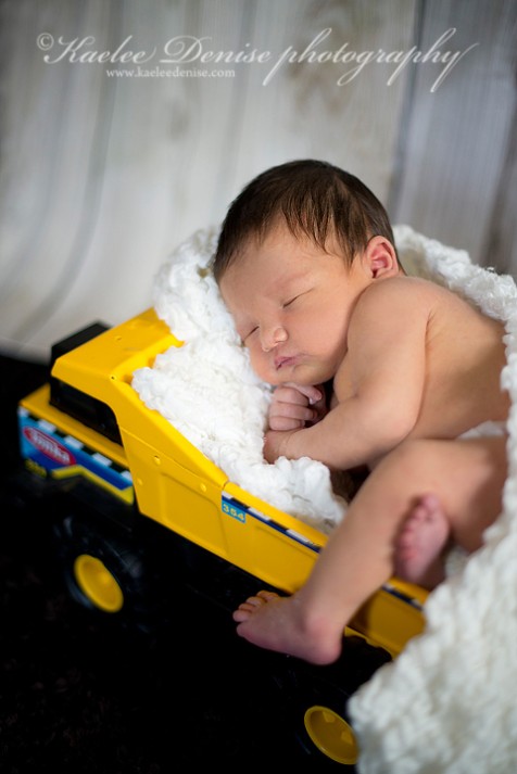 Brevard Newborn Portrait Photographer