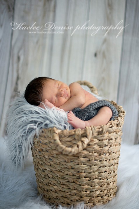 Brevard Newborn Portrait Photographer