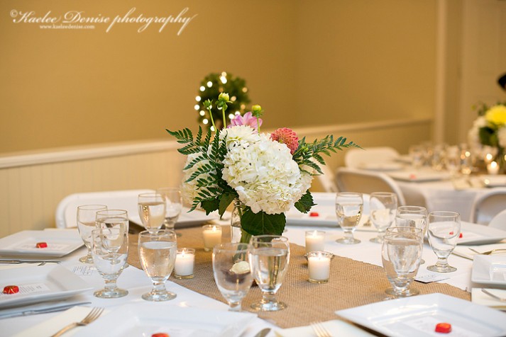 Asheville Wedding Photographer