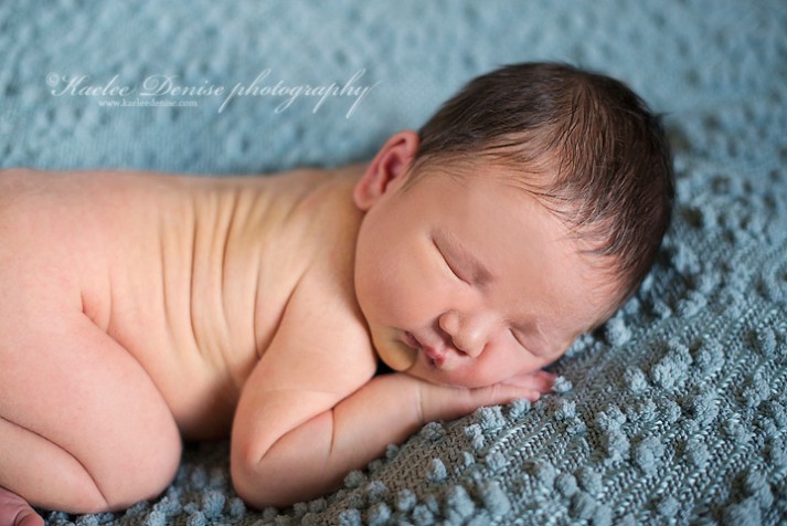 Brevard Newborn Portrait Photographer