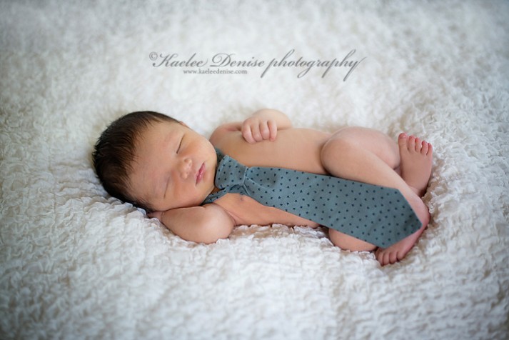Brevard Newborn Portrait Photographer