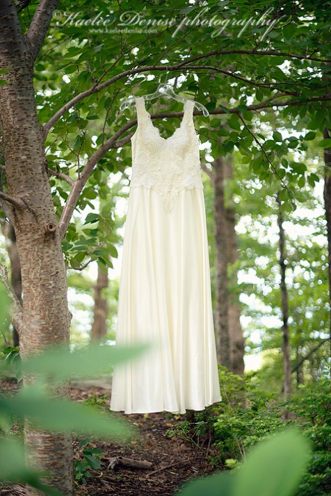 Brevard Wedding Photographer