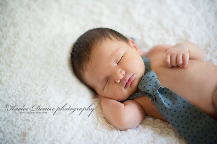 Asheville Newborn Portrait Photographer
