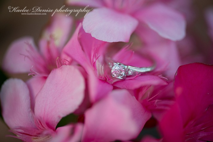 Brevard Engagement Photographer