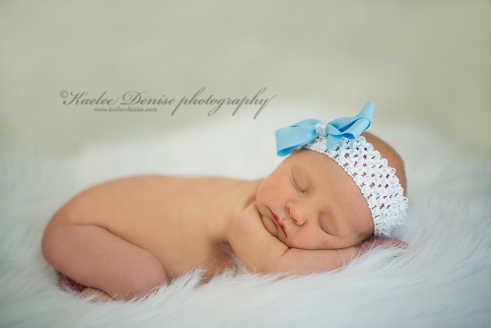 Brevard Newborn Portrait Photographer