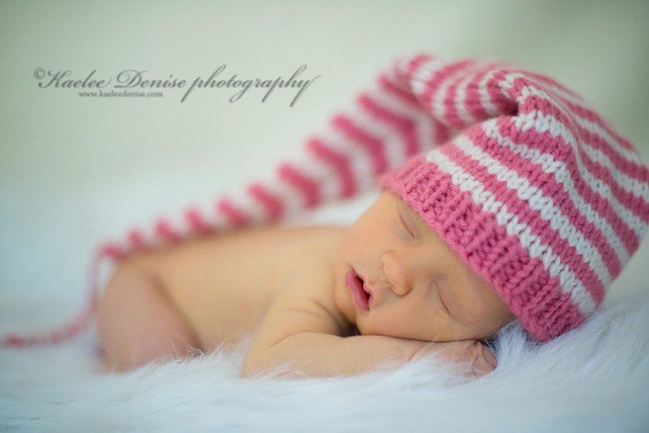 Brevard Newborn Portrait Photographer