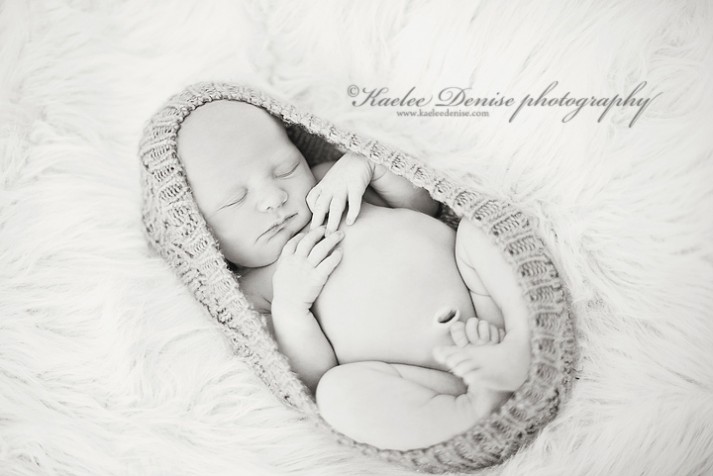 Brevard Newborn Portrait Photographer