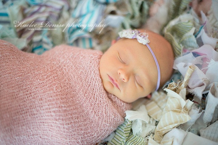 Brevard Newborn Portrait Photographer
