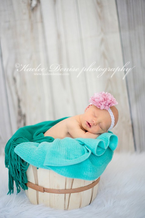 Brevard Newborn Portrait Photographer