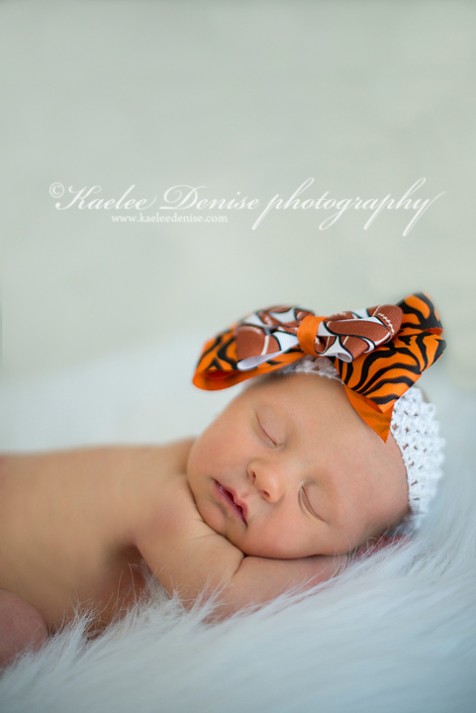 Brevard Newborn Portrait Photographer