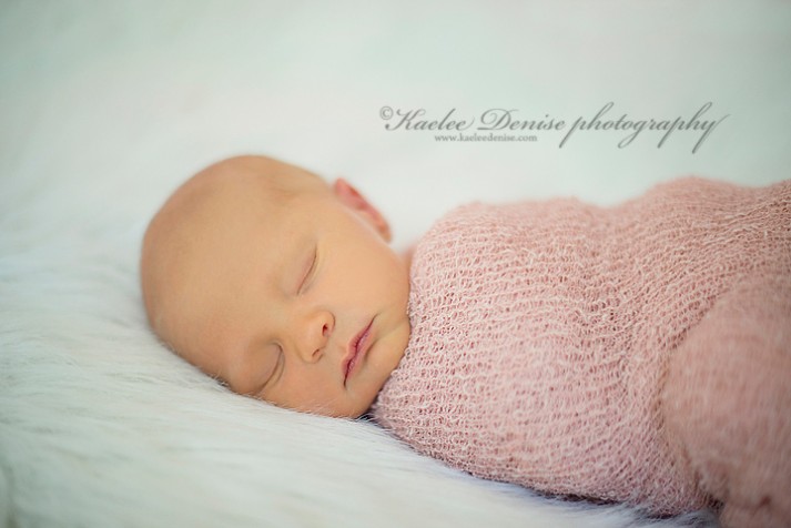 Brevard Newborn Portrait Photographer