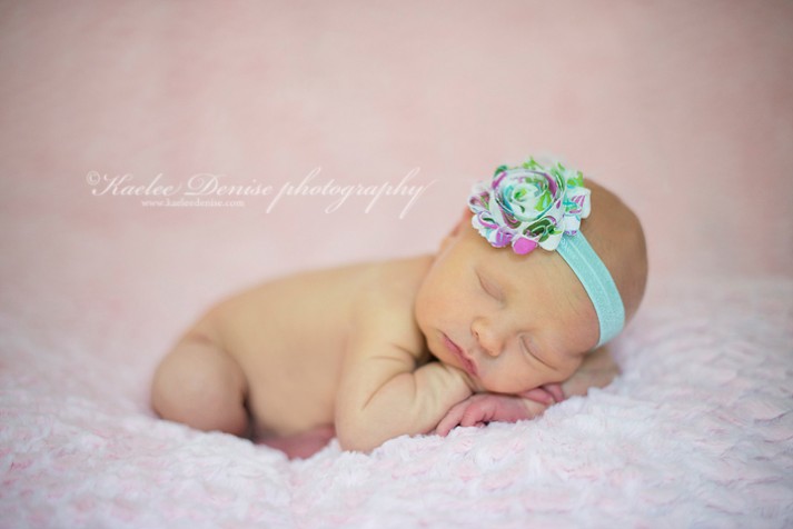 Brevard Newborn Portrait Photographer