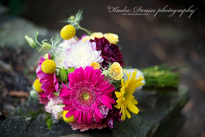 Brevard Wedding Photographer