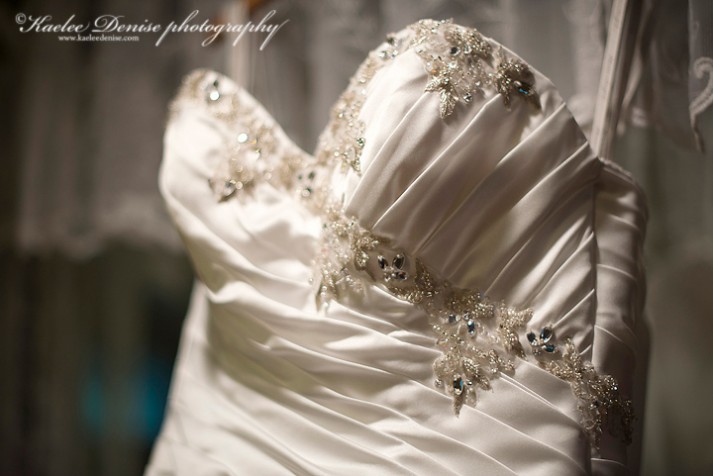 Brevard Wedding Photographer