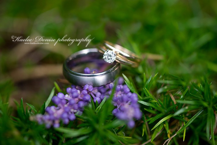 Brevard Wedding Photographer