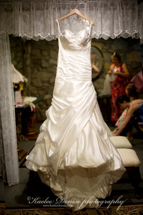 Brevard Wedding Photographer