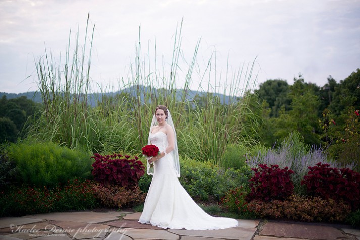 Brevard Wedding Photographer