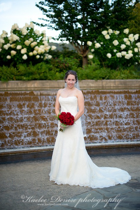 Brevard Wedding Photographer