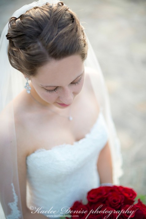 Brevard Wedding Photographer