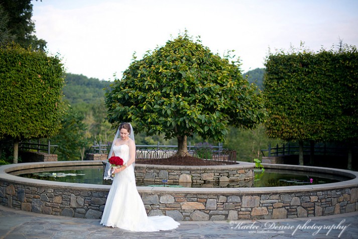 Brevard Wedding Photographer