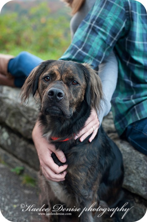 Asheville engagement photographer