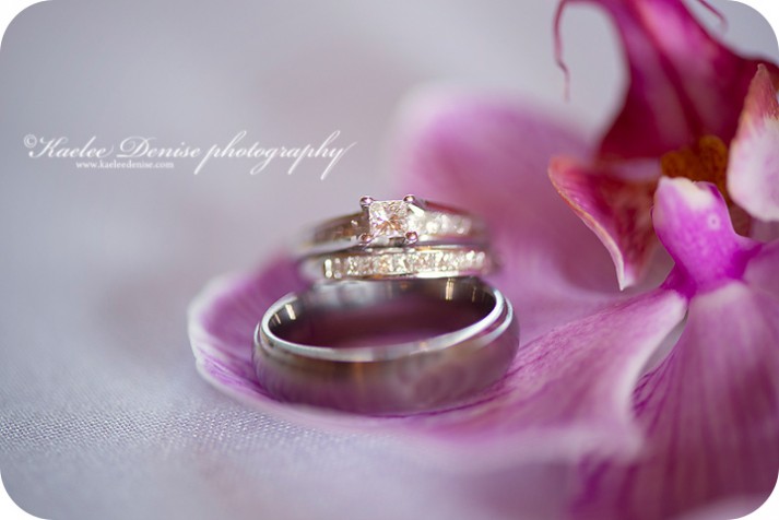 Asheville Wedding Photographer