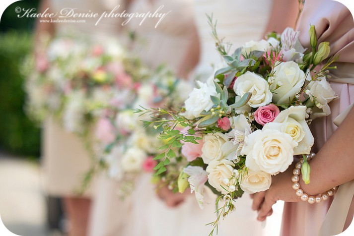 Asheville Wedding Photographer