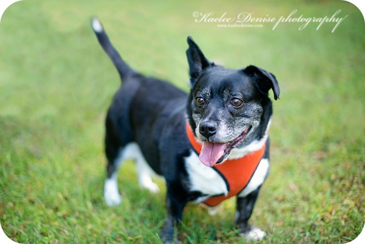Brevard Child and Family Portrait Photographer