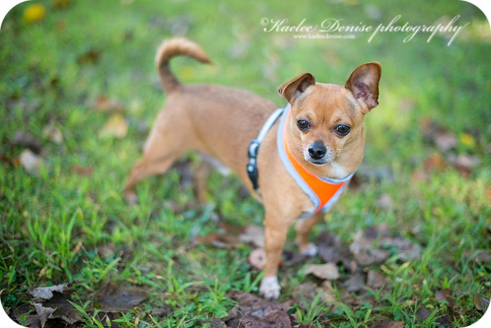 Brevard Child and Family Portrait Photographer