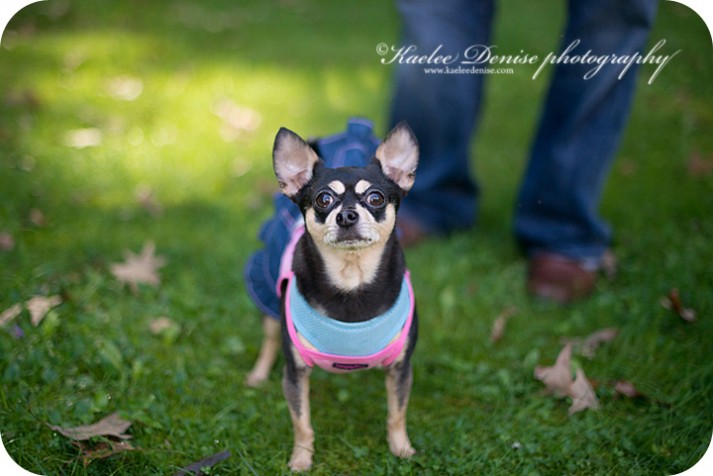 Brevard Child and Family Portrait Photographer
