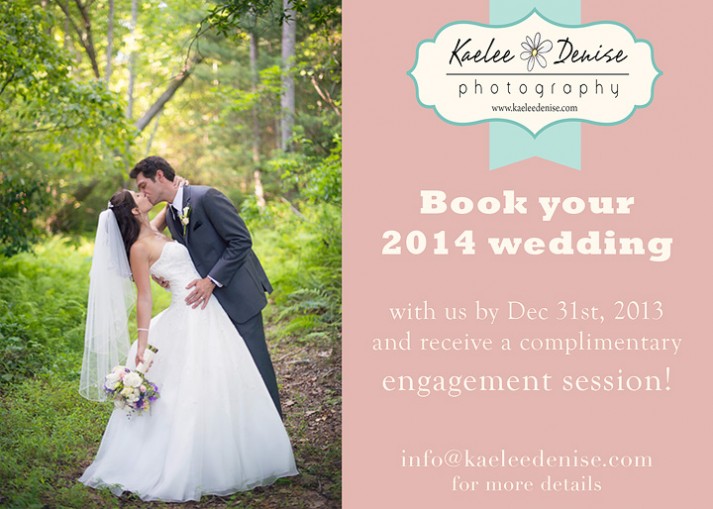 asheville wedding photographer