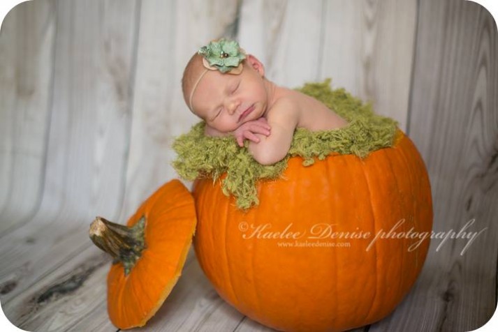 asheville newborn photographer