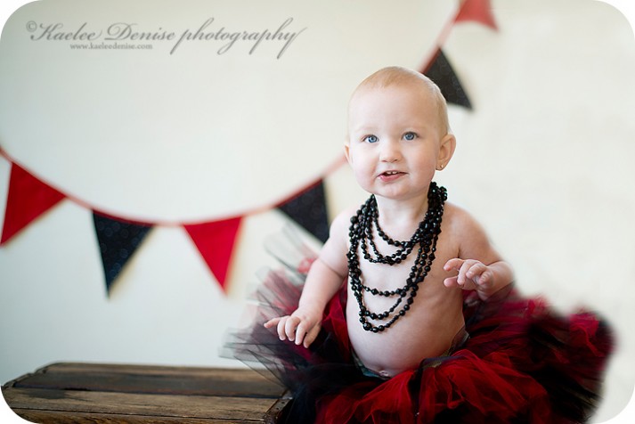 brevard photographer