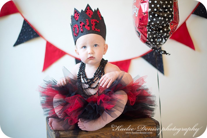 brevard photographer